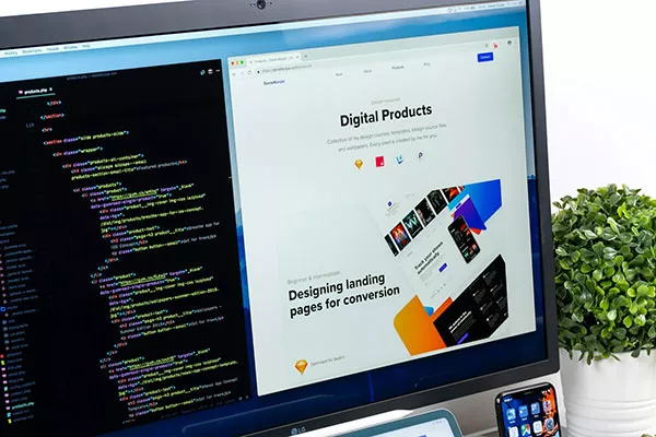 Web Design & Development