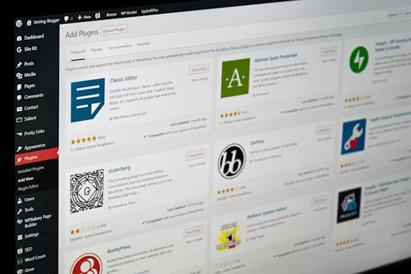 WordPress Websites